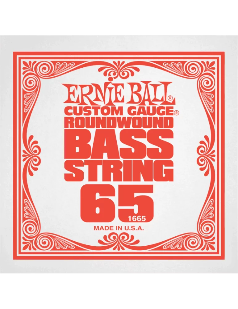 ERNIE BALL 1665 | MusicGoodDeal