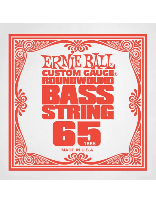 ERNIE BALL 1665 | MusicGoodDeal