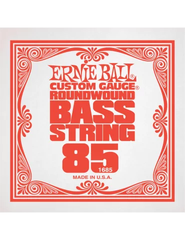 ERNIE BALL 1685 | MusicGoodDeal