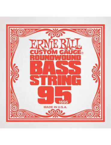 ERNIE BALL 1695 | MusicGoodDeal