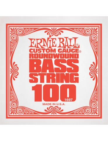 ERNIE BALL 1697 | MusicGoodDeal