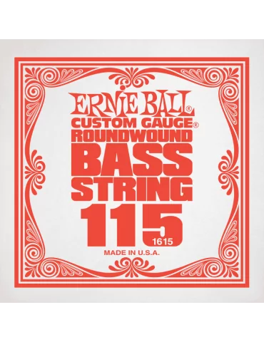 ERNIE BALL 1615 | MusicGoodDeal