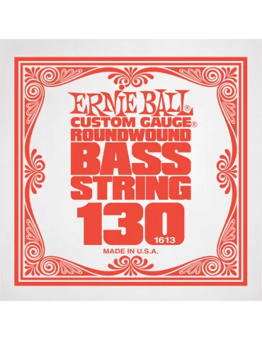ERNIE BALL 1613 | MusicGoodDeal
