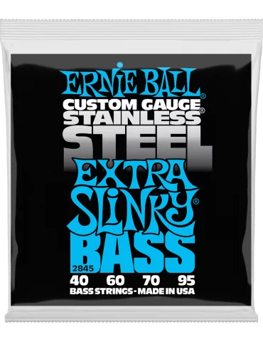 ERNIE BALL 2845 | MusicGoodDeal