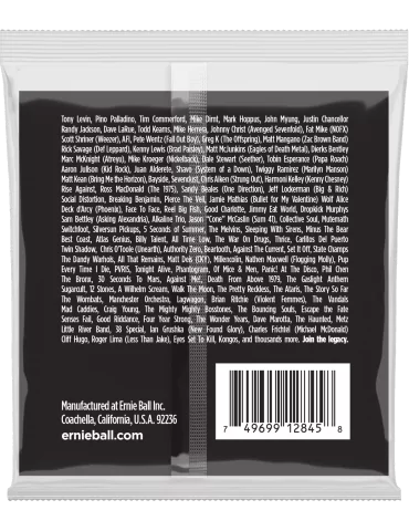 ERNIE BALL 2845 | MusicGoodDeal 2