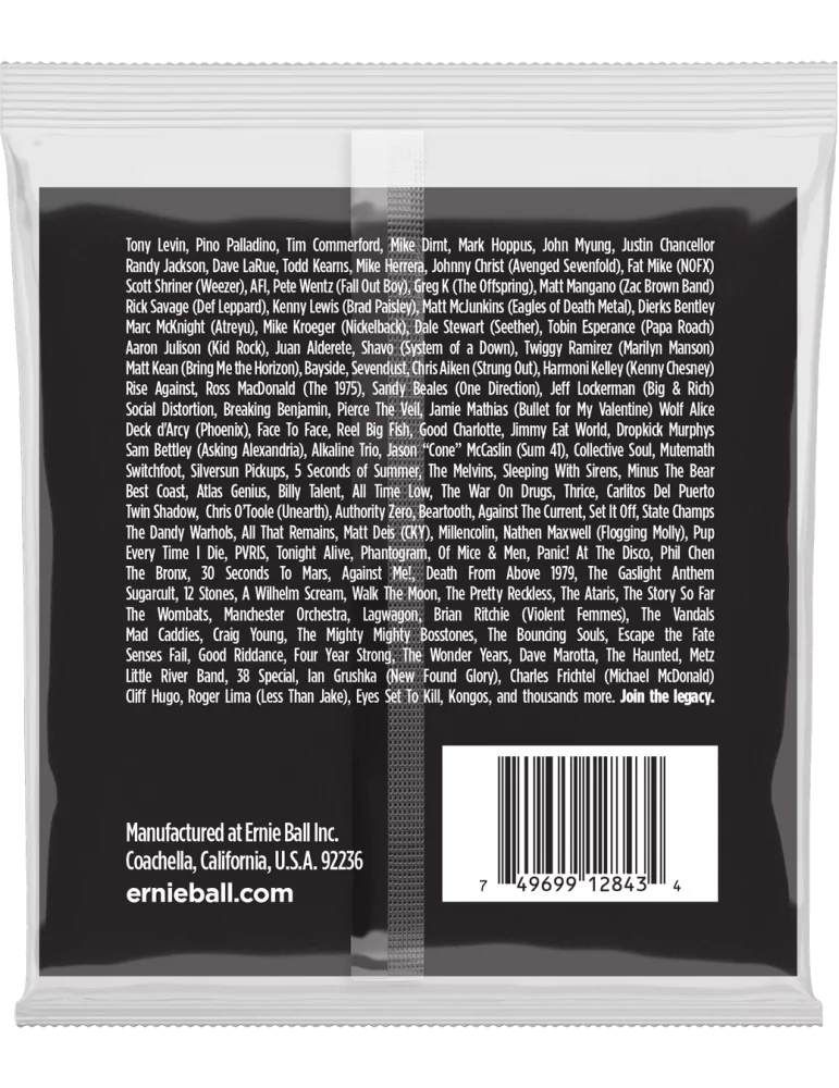 ERNIE BALL 2843 | MusicGoodDeal