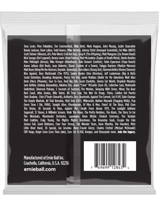 ERNIE BALL 2843 | MusicGoodDeal
