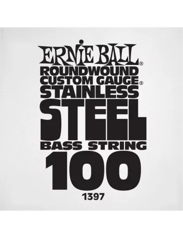 ERNIE BALL 1397 | MusicGoodDeal