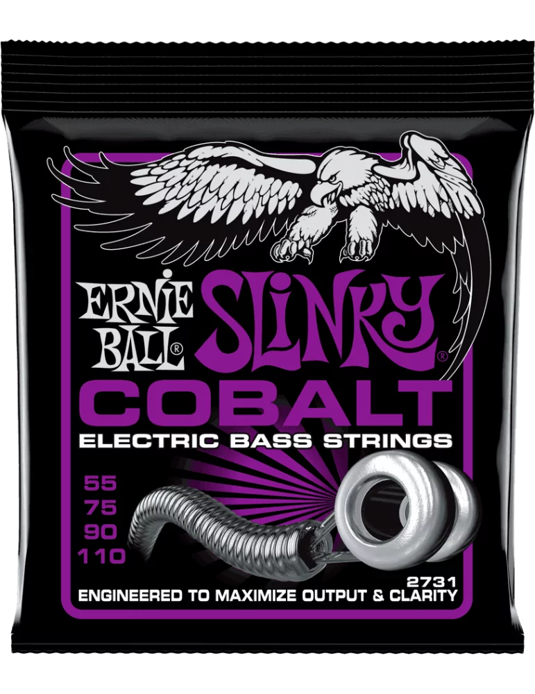 ERNIE BALL 2731 | MusicGoodDeal