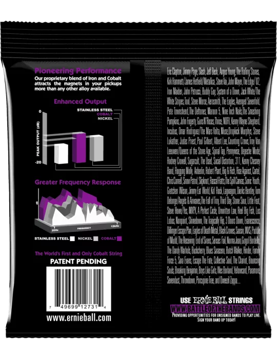 ERNIE BALL 2731 | MusicGoodDeal