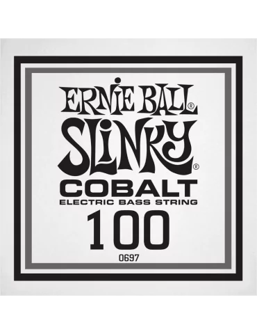 ERNIE BALL 10697 | MusicGoodDeal
