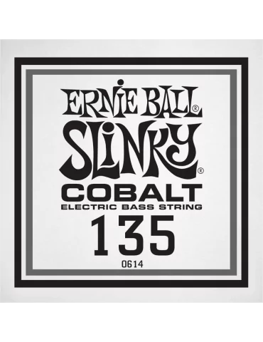 ERNIE BALL 10614 | MusicGoodDeal