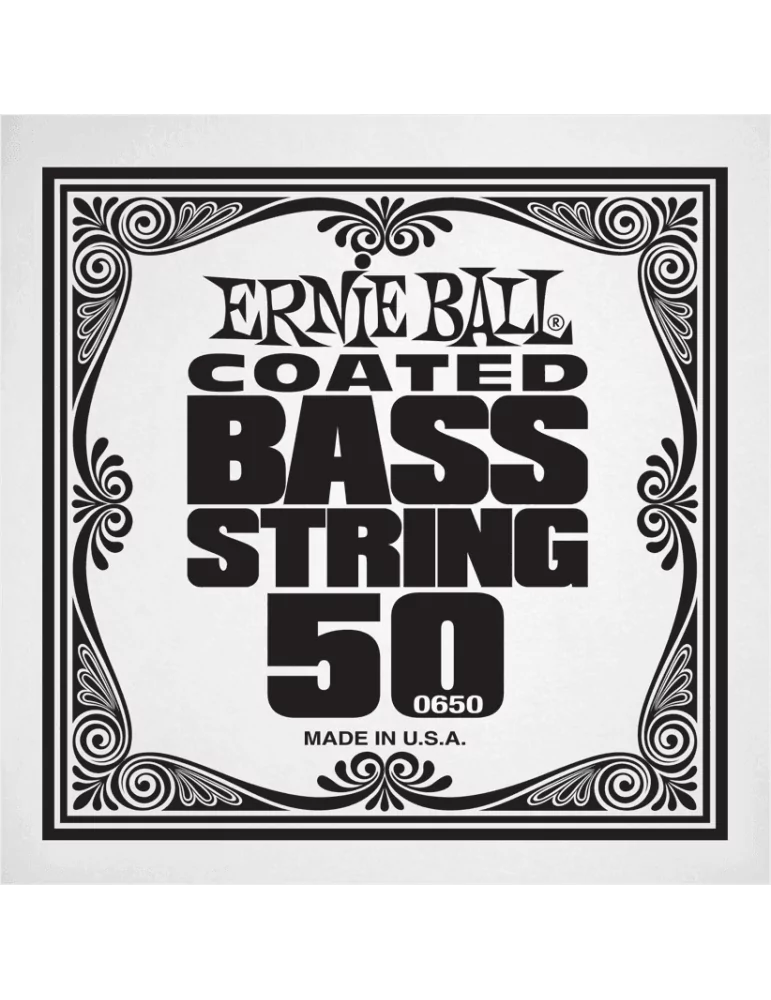 ERNIE BALL 0650 | MusicGoodDeal