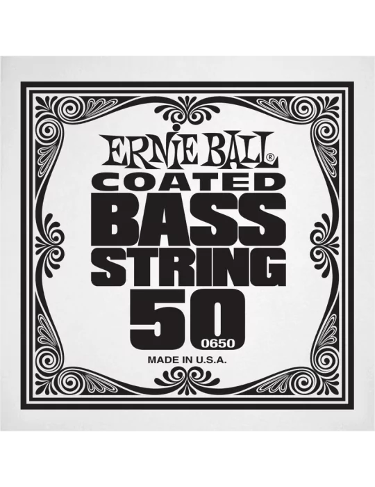ERNIE BALL 0650 | MusicGoodDeal