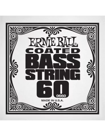 ERNIE BALL 0660 | MusicGoodDeal