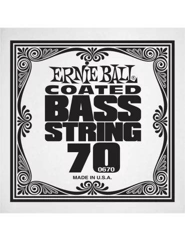 ERNIE BALL 0670 | MusicGoodDeal