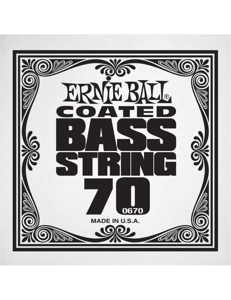 ERNIE BALL 0670 | MusicGoodDeal