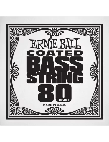 ERNIE BALL 0680 | MusicGoodDeal