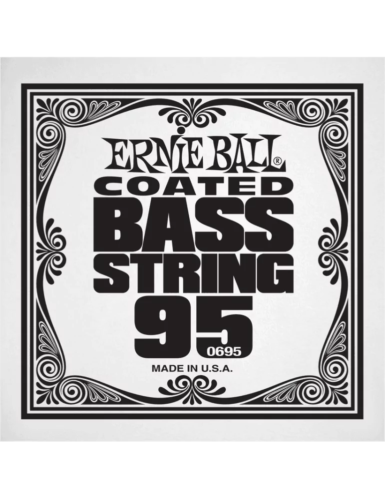 ERNIE BALL 0695 | MusicGoodDeal