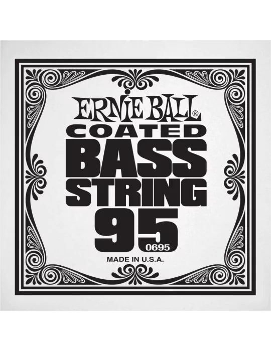 ERNIE BALL 0695 | MusicGoodDeal