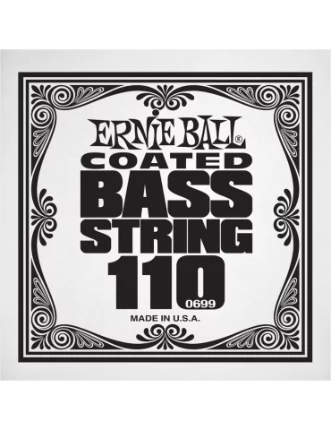 ERNIE BALL 0699 | MusicGoodDeal