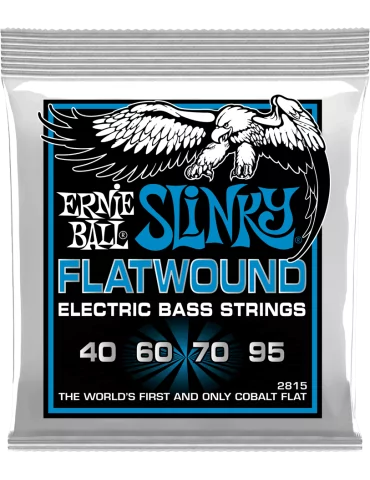 ERNIE BALL 2815 | MusicGoodDeal