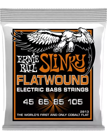 ERNIE BALL 2813 | MusicGoodDeal