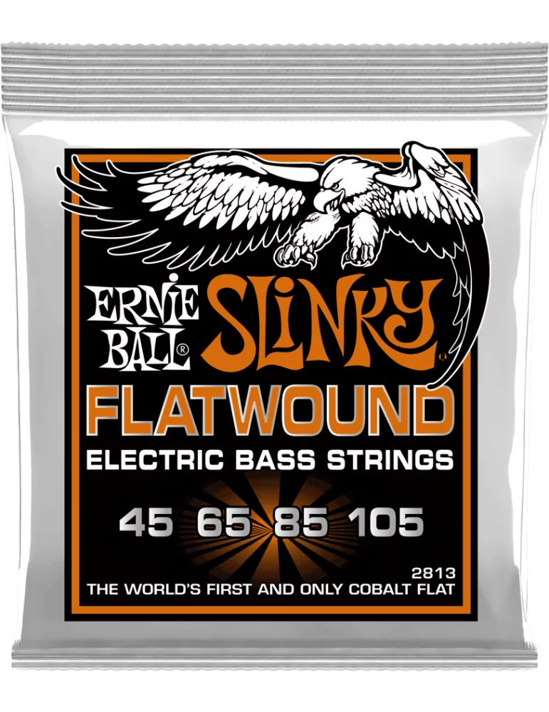 ERNIE BALL 2813 | MusicGoodDeal