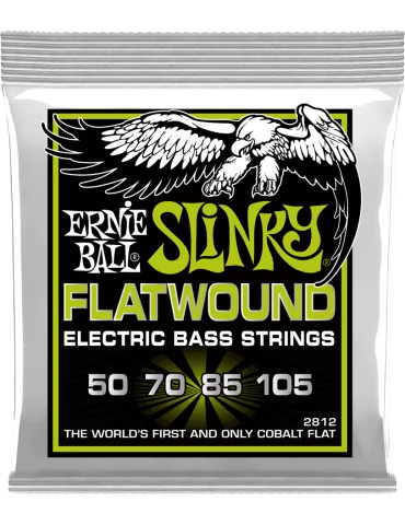 ERNIE BALL 2812 | MusicGoodDeal