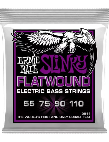 ERNIE BALL 2811 | MusicGoodDeal