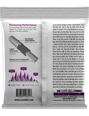ERNIE BALL 2811 | MusicGoodDeal 2