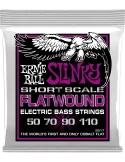 ERNIE BALL 2817 | MusicGoodDeal