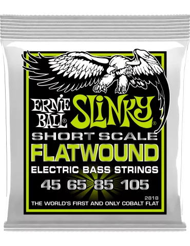 ERNIE BALL 2818 | MusicGoodDeal