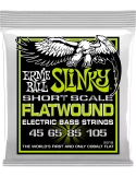 ERNIE BALL 2818 | MusicGoodDeal