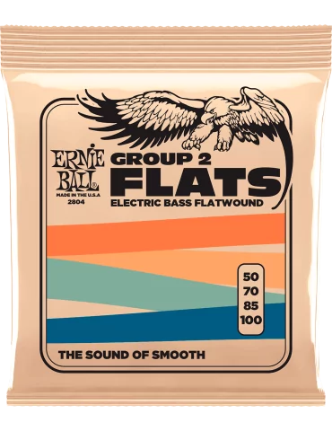 ERNIE BALL 2804 | MusicGoodDeal