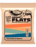 ERNIE BALL 2802 | MusicGoodDeal
