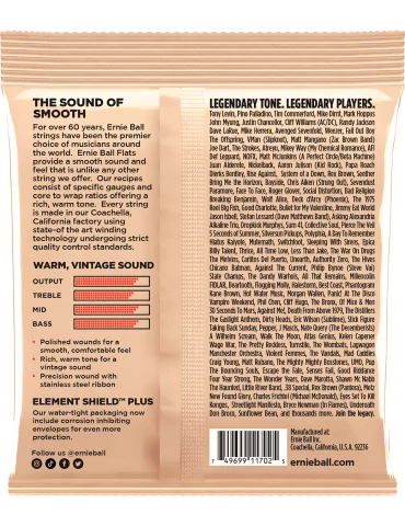 ERNIE BALL 2800 | MusicGoodDeal 2