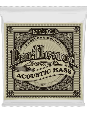 ERNIE BALL 2070 | MusicGoodDeal