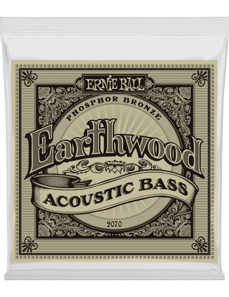 ERNIE BALL 2070 | MusicGoodDeal