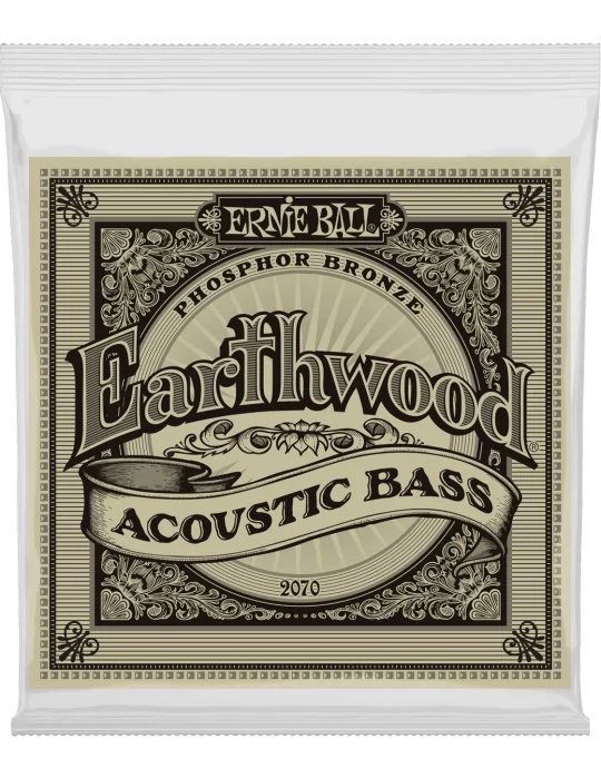 ERNIE BALL 2070 | MusicGoodDeal