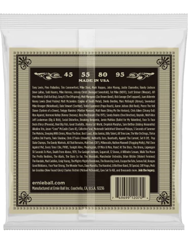 ERNIE BALL 2070 | MusicGoodDeal 2