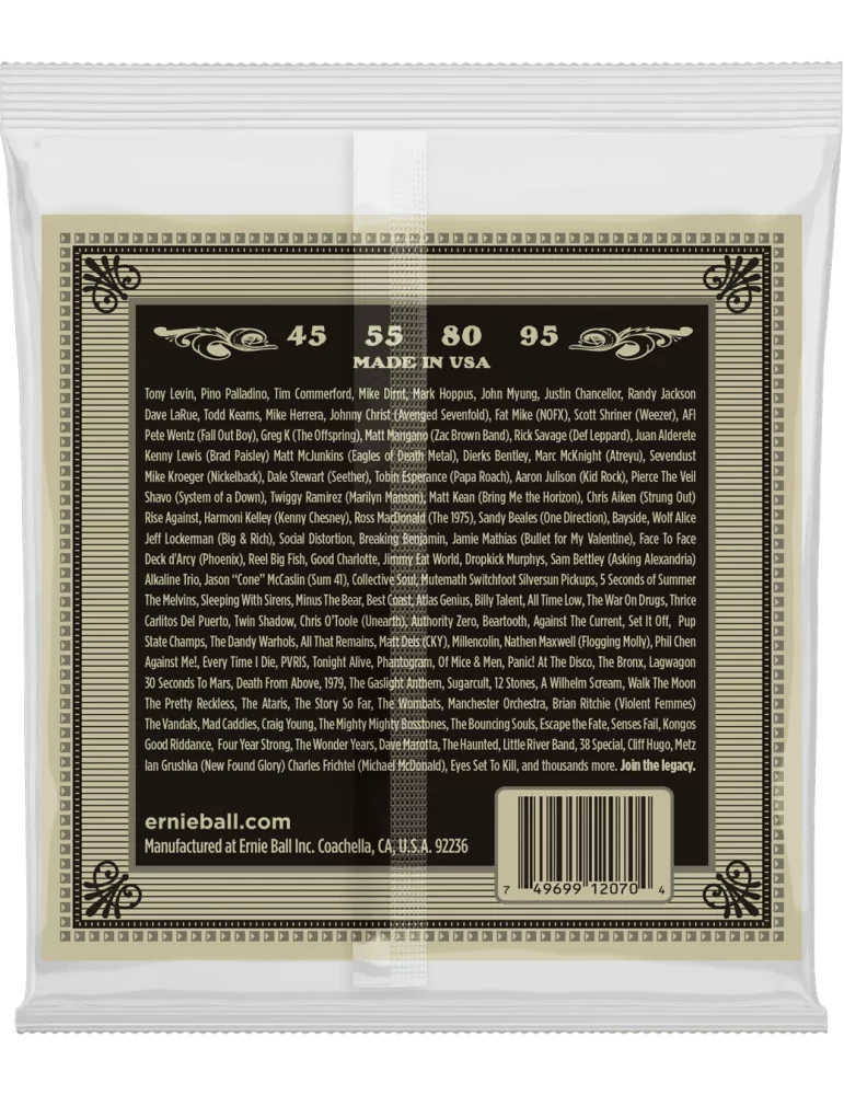 ERNIE BALL 2070 | MusicGoodDeal