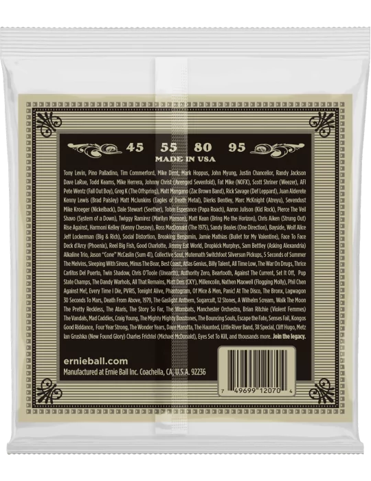 ERNIE BALL 2070 | MusicGoodDeal