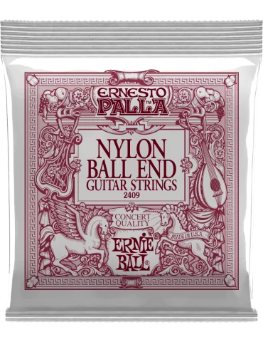 ERNIE BALL 2409 | MusicGoodDeal