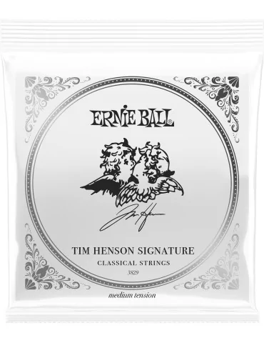 ERNIE BALL 3829 | MusicGoodDeal