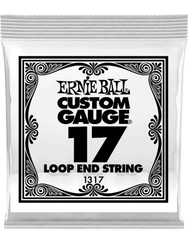 ERNIE BALL 1317 | MusicGoodDeal