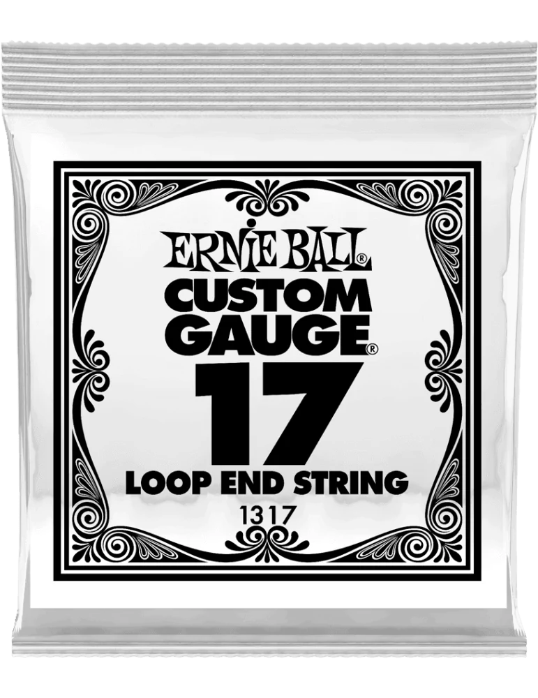 ERNIE BALL 1317 | MusicGoodDeal