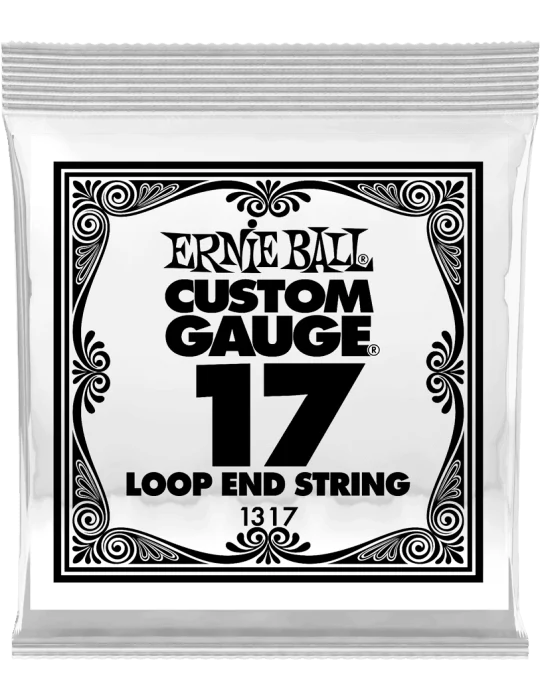ERNIE BALL 1317 | MusicGoodDeal