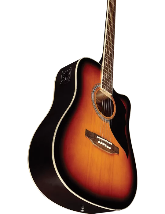 EKO RANGER6CW-EQ-BWN | MusicGoodDeal