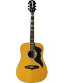 EKO RANGERVR6-EQ-NAT | MusicGoodDeal